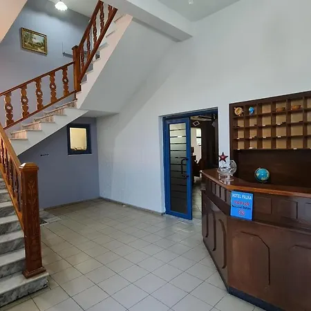 Parku I Palmave Gjirokastër